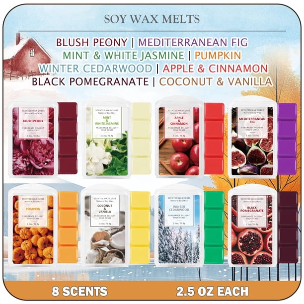 SCENTORINI Cera de soja perfumada para derretir cubos de cera 8x2.5 oz Calabaza Manzana y canela Cedro de invierno Menta y jazmín blanco Coco y vainilla Granada negra Higo mediterráneo