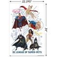 thumbnail image 3 of DC Comics Movie DC League Of Super-Pets - Counterparts Wall Poster, 22.375" x 34", 3 of 5