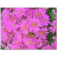 thumbnail image 1 of Flower Picture Ceramic Tile Mural Kitchen Backsplash Bathroom Shower 404931-M43, 1 of 3