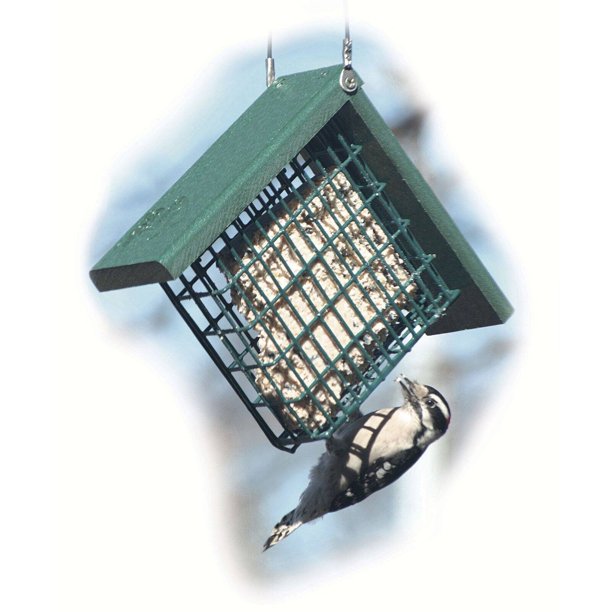 NAGGSUET Going Green Suet Feeder