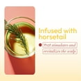 thumbnail image 6 of ORS HAIRestore Fertilizing Temple Balm with Nettle Leaf and Horsetail Extract 2.0 oz, 6 of 7