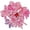 20s Girl's Bow Pack, variant on 60PCS Random Assorted Styles Embroidered Patches,Sew On/Iron On Patch Applique for Clothes Dress Hat Jeans, DIY Accessories