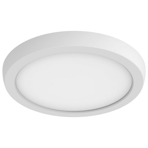 Blink Pro - Light White Utilitarian Aluminum Flush Mount Light