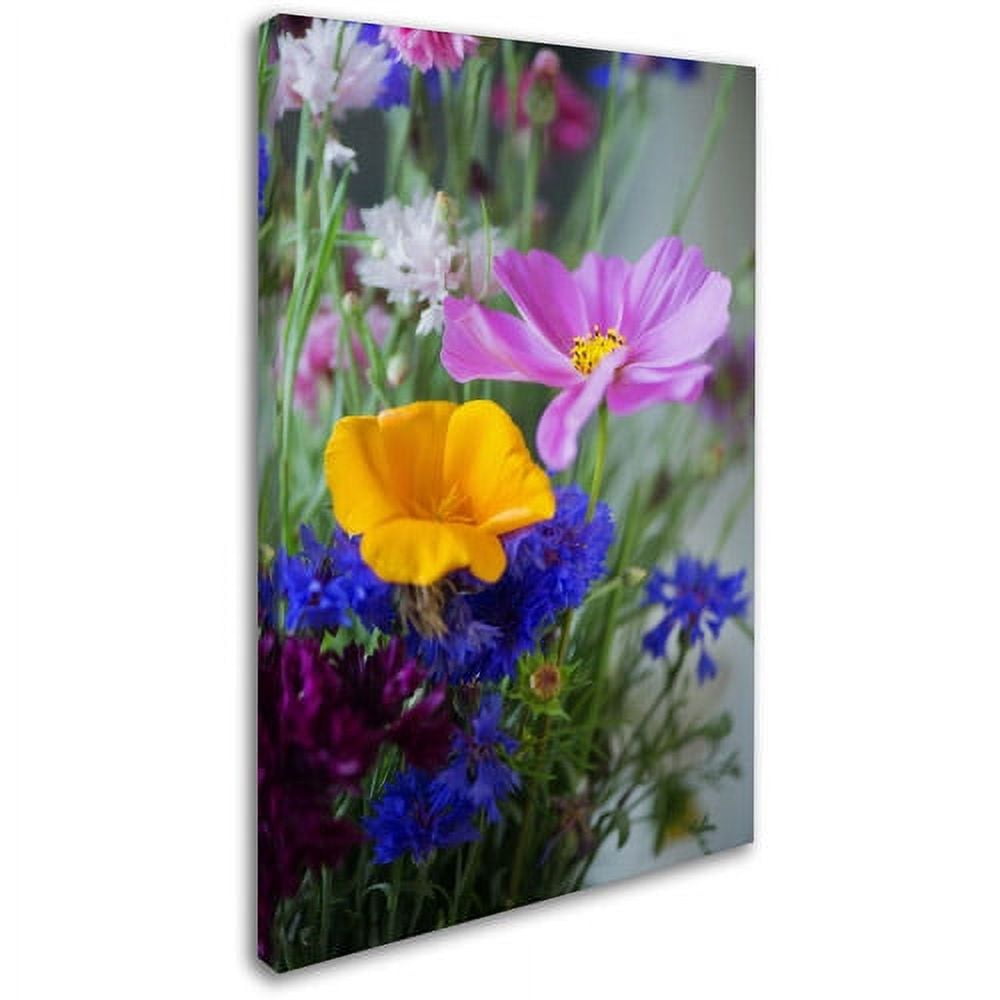Trademark Fine Art "Cosmo Duo" Canvas Art by Philippe Sainte-Laudy