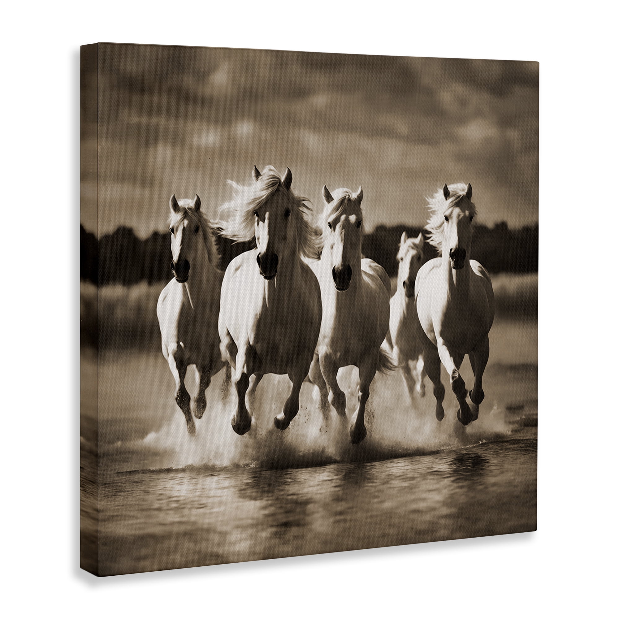 Stupell Industries Camargue Stallions Trotting Animals Painting Wrapped Canvas Art Print Wall Art, 17 x 17