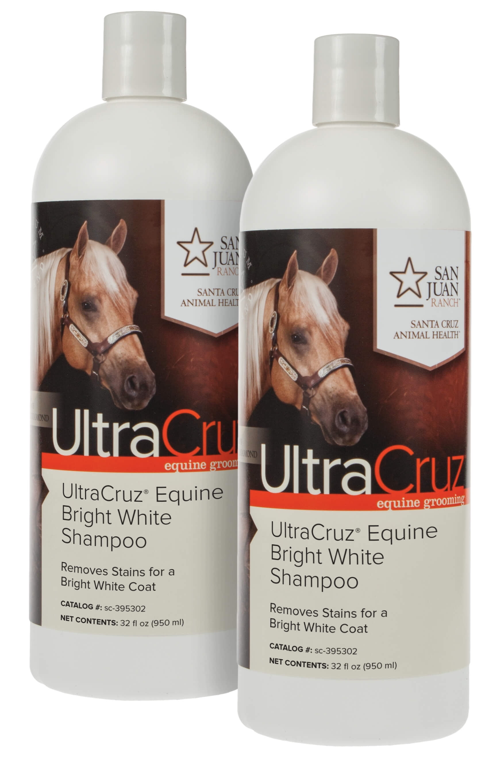 animal house grooming santa cruz