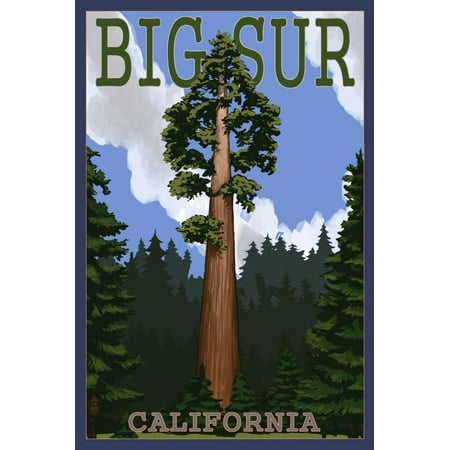 Big Sur, California - Redwood Tree Print Wall Art By Lantern (Best Place To See Redwoods In Big Sur)