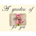 thumbnail image 4 of Jamie Phillip 18x15 Black Modern Wood Framed Wall Art Titled - Pink Rose, 4 of 6