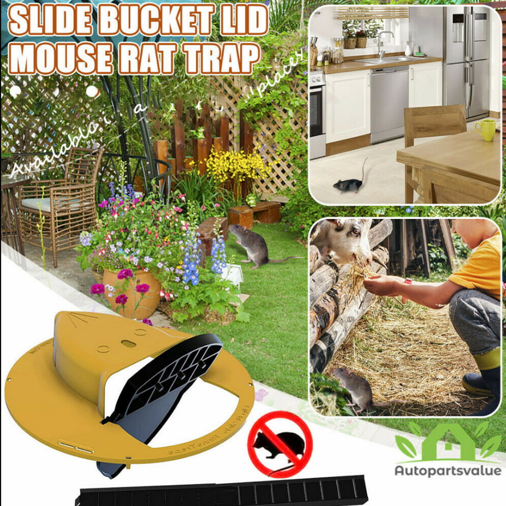 Flip and Slide Bucket Lid Mouse//Rat Trap Auto Reset Design Balance Mouse Trap for Indoor /& Outdoor 1 Pack Slide Bucket Lid Mouse Rat Trap