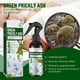 thumbnail image 3 of Repelente y asesino de chinches Sincero para uso en interiores y exteriores 100ml, 3 of 10