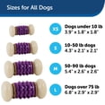 thumbnail image 3 of Juguete para perros PetSafe Busy Buddy Nobbly Nubbly para perros pequeños, 3 of 6