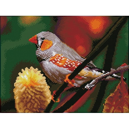 UPC: 4895225917723 | DIAMOND DOTZ® Gouldian Finch Diamond Painting Kit