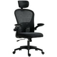 thumbnail image 1 of Vinsetto Mesh Office Chair with Headrest, 4D Lumbar Support, Black, 1 of 10