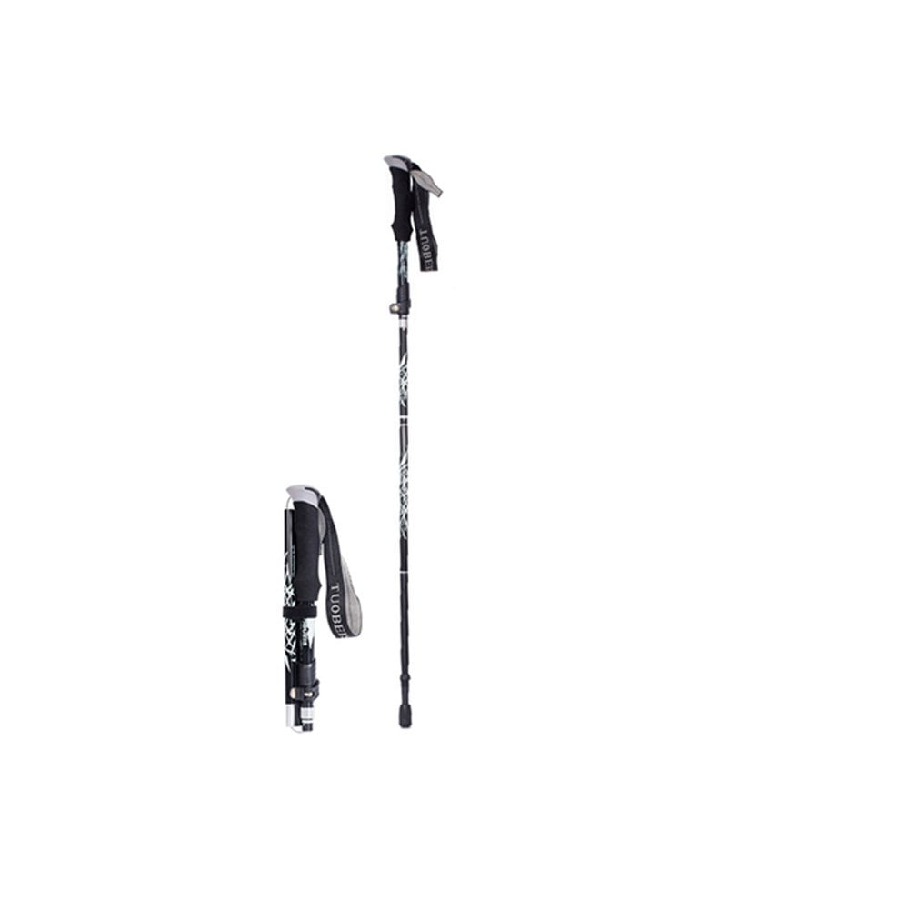 walking stick for mountain climbing