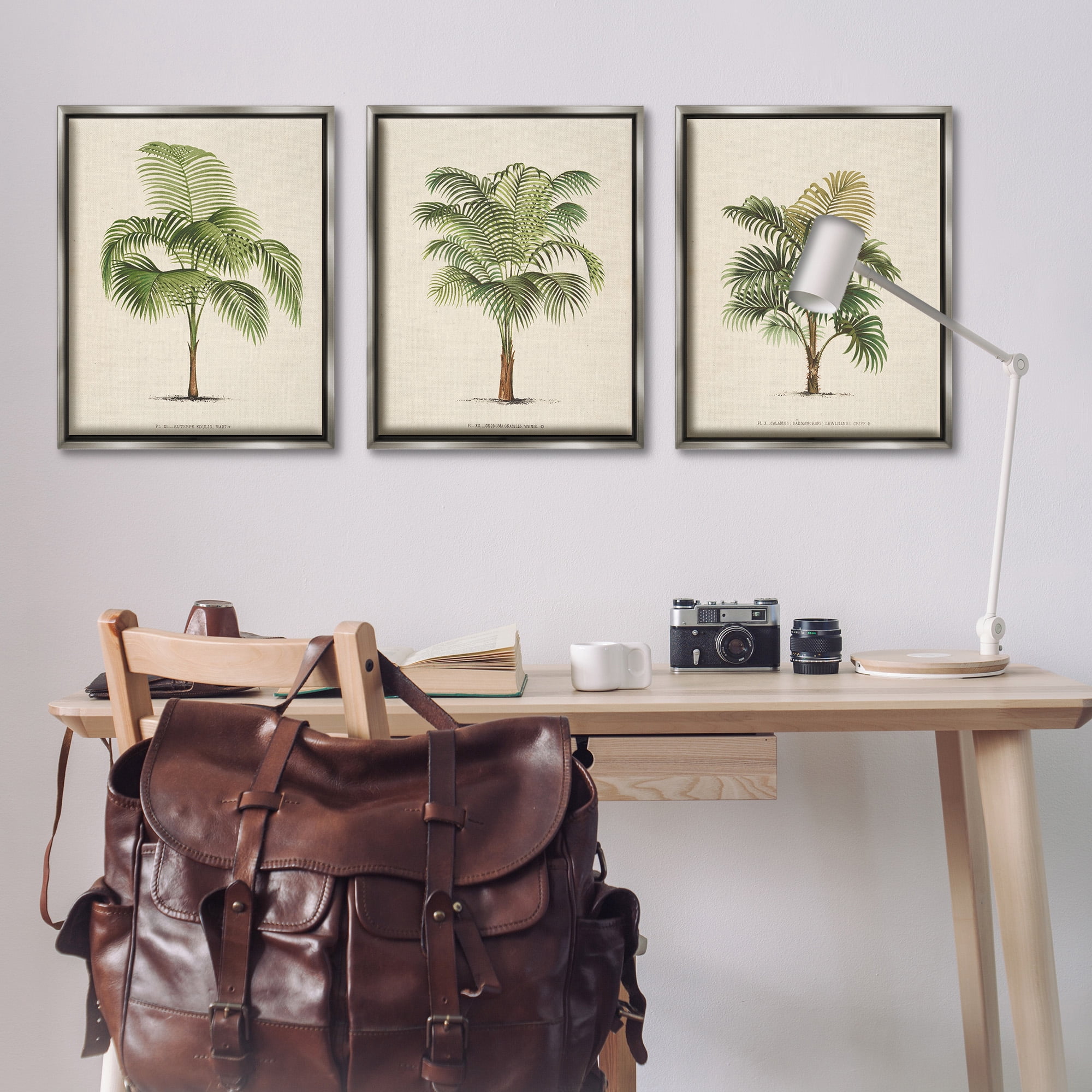Stupell Industries Les Palmiers Botanical Trio Botanical & Floral Painting Gray Floater Framed Canvas Art Print Wall Art, 25 x 31, Set of 3