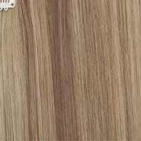 Light Brown&Ash Blonde