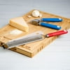 Tasty Royal Blue Garlic Press and Red Handheld Grater