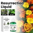 thumbnail image 3 of Plant Resurrection Liquid Plant Growth Enhancer, Phyto Vitamin Solution, 3 of 5