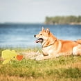 thumbnail image 6 of Mellow Dog Calming Duck, 2025 New Yellow Duck Dog Toy, The Mellow Dog Duck, Calming Duck Dog Toy, The Mellow Dog Calming Pillow, Dog Duck Toy with Quacking Sound for Indoor Dog, 6 of 7