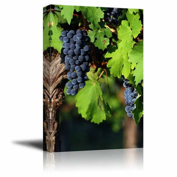 wall26 Canvas Prints Wall Art - Italian Vineyard | Modern Wall Decor/Home Decoration Stretched Gallery Canvas Wrap Giclee Print. Ready to Hang - 16" x 24"