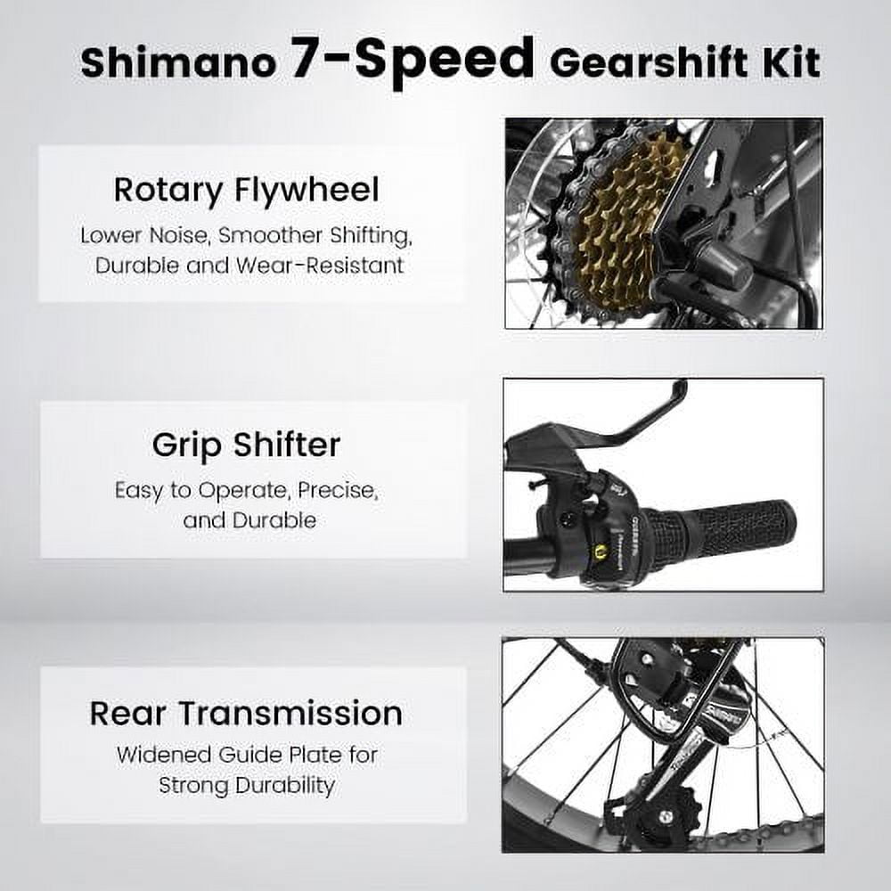 RAISTYW 20" Fat Tire Mountain Bike, 7-Speeds High Carbon Steel Frame Mountain Bicycle MTB Bike with Disc Brakes for Adults Men Women, Green and Black