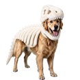thumbnail image 3 of 2026 Dino Skeleton Plush, Dinosaur Skeleton Plush Costume for Dogs and Cats, 3 of 6
