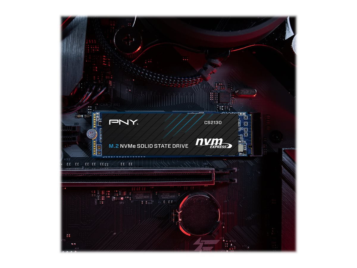 Pny 500gb hotsell ssd