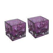 Small Purple Glass Vases Hurricanes Blownout Daisie Flowers