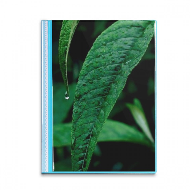 Protège-feuilles pour Livres de Photographie Nature, Portfolio, Classeur, Dossier