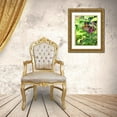 thumbnail image 3 of Putman, Tammy 14x18 Gold Ornate Wood Framed with Double Matting Museum Art Print Titled - Monarch Garden I, 3 of 4