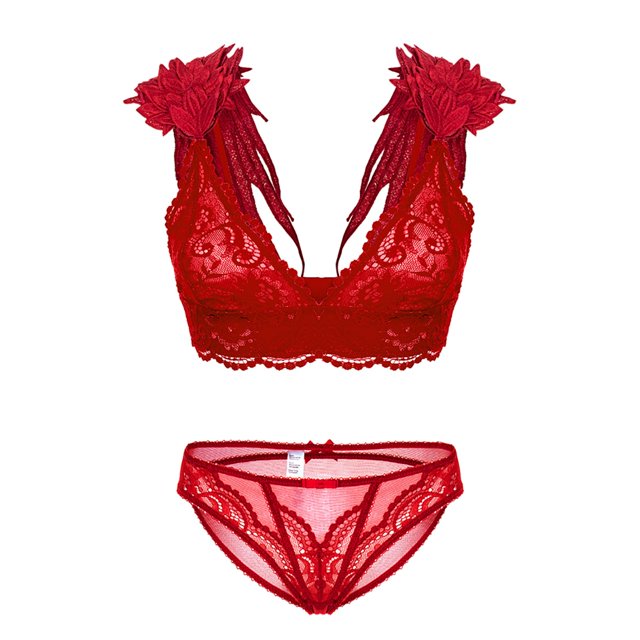 Soutien-gorge Léger Triangle Mignonne à Bretelles Ajustables avec Ailes et Dentelle, Culottes Bikini pour Femmes