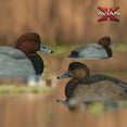 thumbnail image 6 of Avian X Magnum Canvasback Decoys, Open Water, Realistic Design, 6 of 10