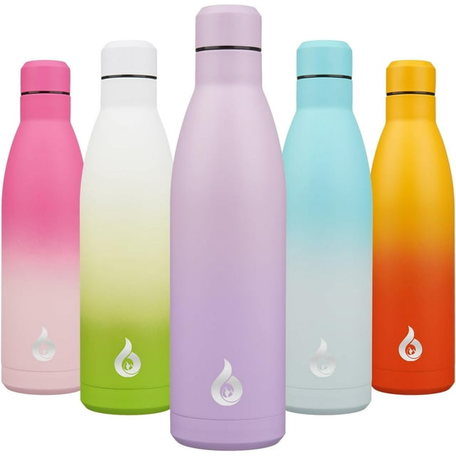 Biwat 25oz Insulated Stainless Steel Water Bottles Reusable Metal Travel Sports Water Bottle Keep Cold and Hot,Dreamy Purple