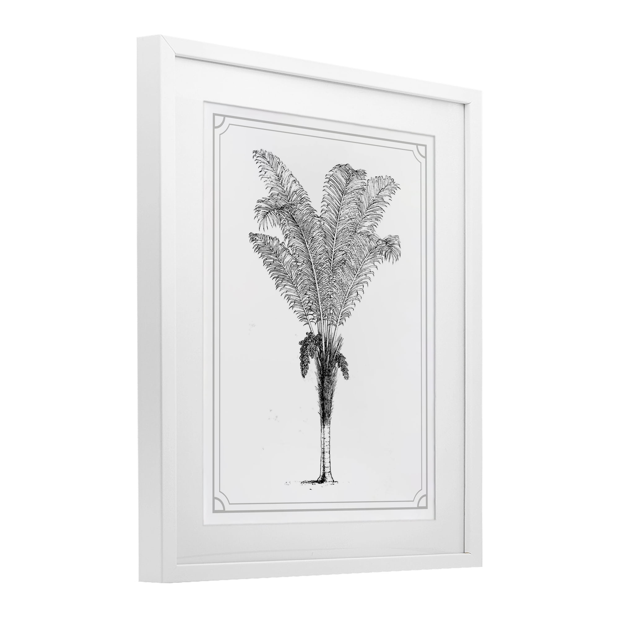 Vintage & Minimal Palm White Framed Print Under Glass, design by Lettered and Lined