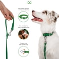 thumbnail image 2 of Dog Collar and Leash Set | BearBone Waterproof Dog Collar and Long Leash for Dogs | Versatile Dog Leashes for Small Dogs with Small Dog Collar (Green, Small), 2 of 3