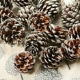 thumbnail image 3 of Christmas Pine Cones Ornament,9 Pieces Pine Cones with String,Bulk Winter Hanging Christmas Decoration,Pine Cone Pendant Crafts for Xmas Tree Gift Tag Party Festival,1.4-1.8 in, 3 of 8