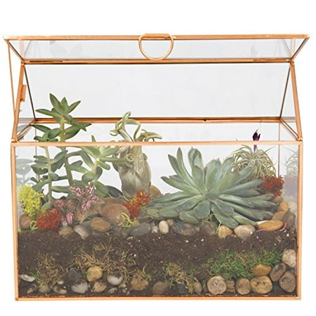 terrarium glass deco plant terrariums succulent air herbs dome dunecraft visit