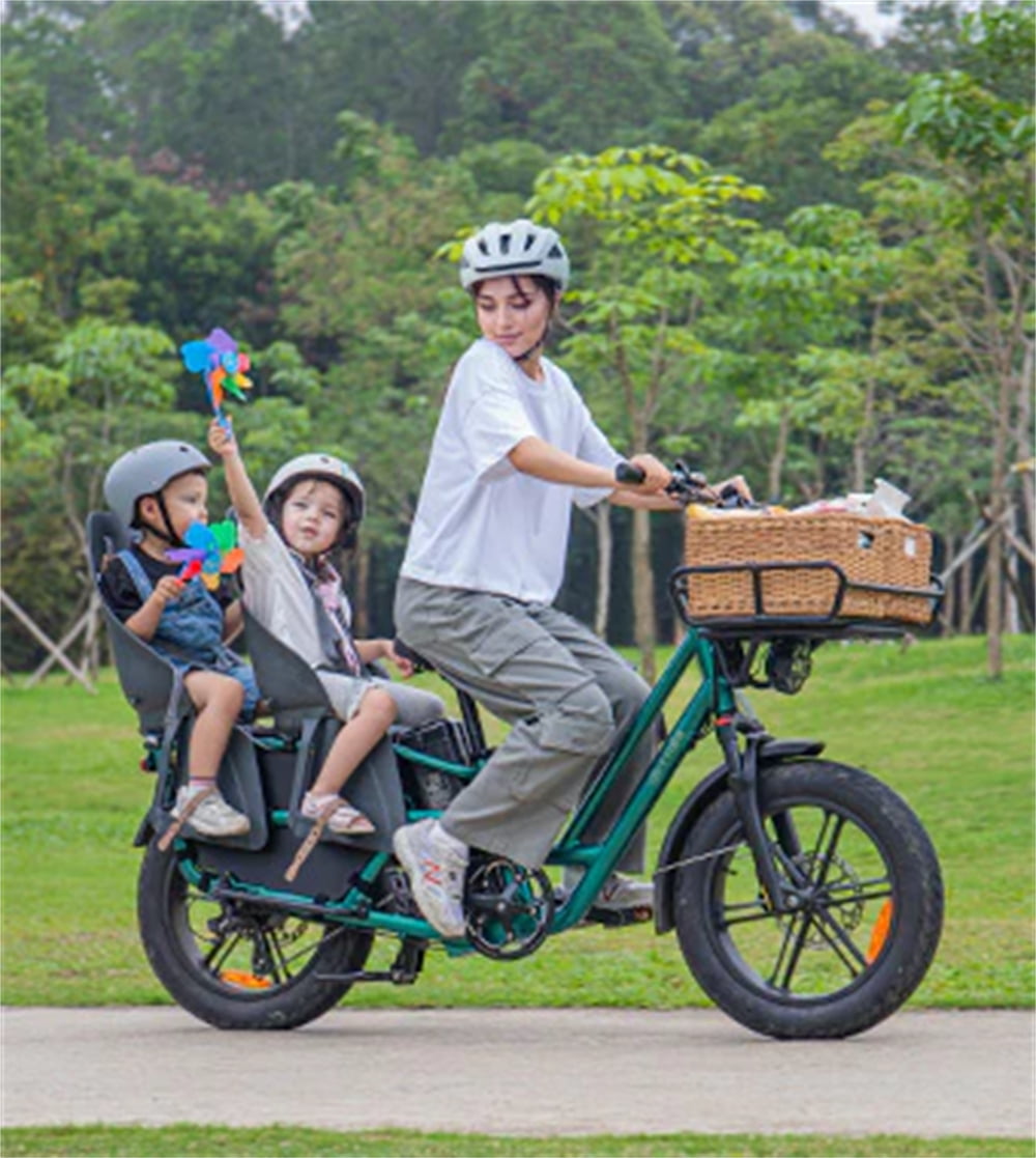 Fiido T2 Black Cargo Electric Bike Class 3 Long Tail Ebike 750W 20Ah Removable Battery E-Bike