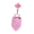 thumbnail image 4 of Traje de ganso Ropa de ganso Regalo de inauguración de la casa Adorno decorativo para fiesta de cumpleaños Bufanda rosa de sombrero de corona, 4 of 9