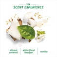 thumbnail image 4 of Herbal Essences Bio:Renew Hydrate Conditioner, Coconut Milk 13.5 oz (Pack of 4), 4 of 6