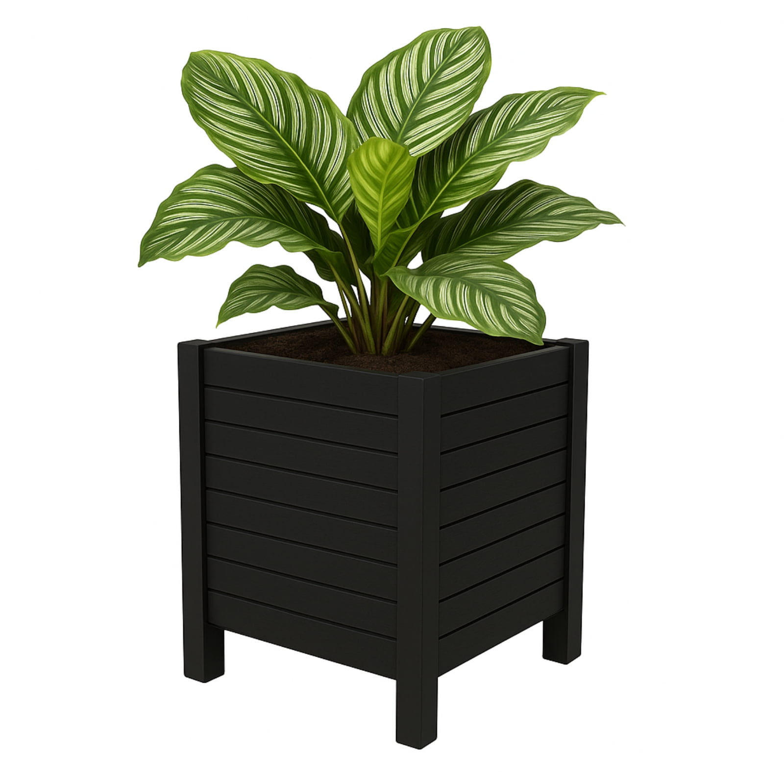 Tierra Verde 17"x17" Flora Cube Planter Black 1PK (4 panels)