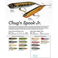 thumbnail image 2 of Heddon X9536437 Chug'n Spook Jr. Topwater Fishing Bait 3 1/2" 1/2 oz Sea, 2 of 2