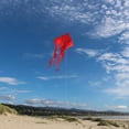 thumbnail image 2 of In the Breeze 3225 - Red 77-inch Wave Delta - Ripstop and Taffeta Single Line All Ages Kite, 2 of 8