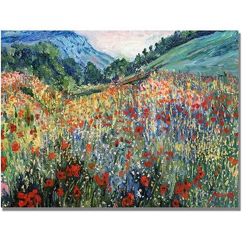 Trademark Fine Art "Field of Wild Flowers" Canvas Art