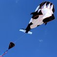 thumbnail image 2 of 3D Huge Frameless Soft Parafoil Giant Whale Flying, 2 of 7