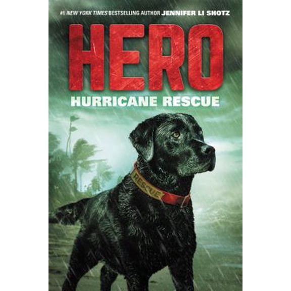 Pre-Owned Hero: Hurricane Rescue (Hardcover) 0062560441 9780062560445