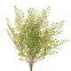 thumbnail image 3 of Hoja de helecho verde artificial 45 cm Simulación Artificial Hoja de Planta de Plástico Decoración Boda Hogar Flor Magideal Hoja de helecho verde artificial, 3 of 8