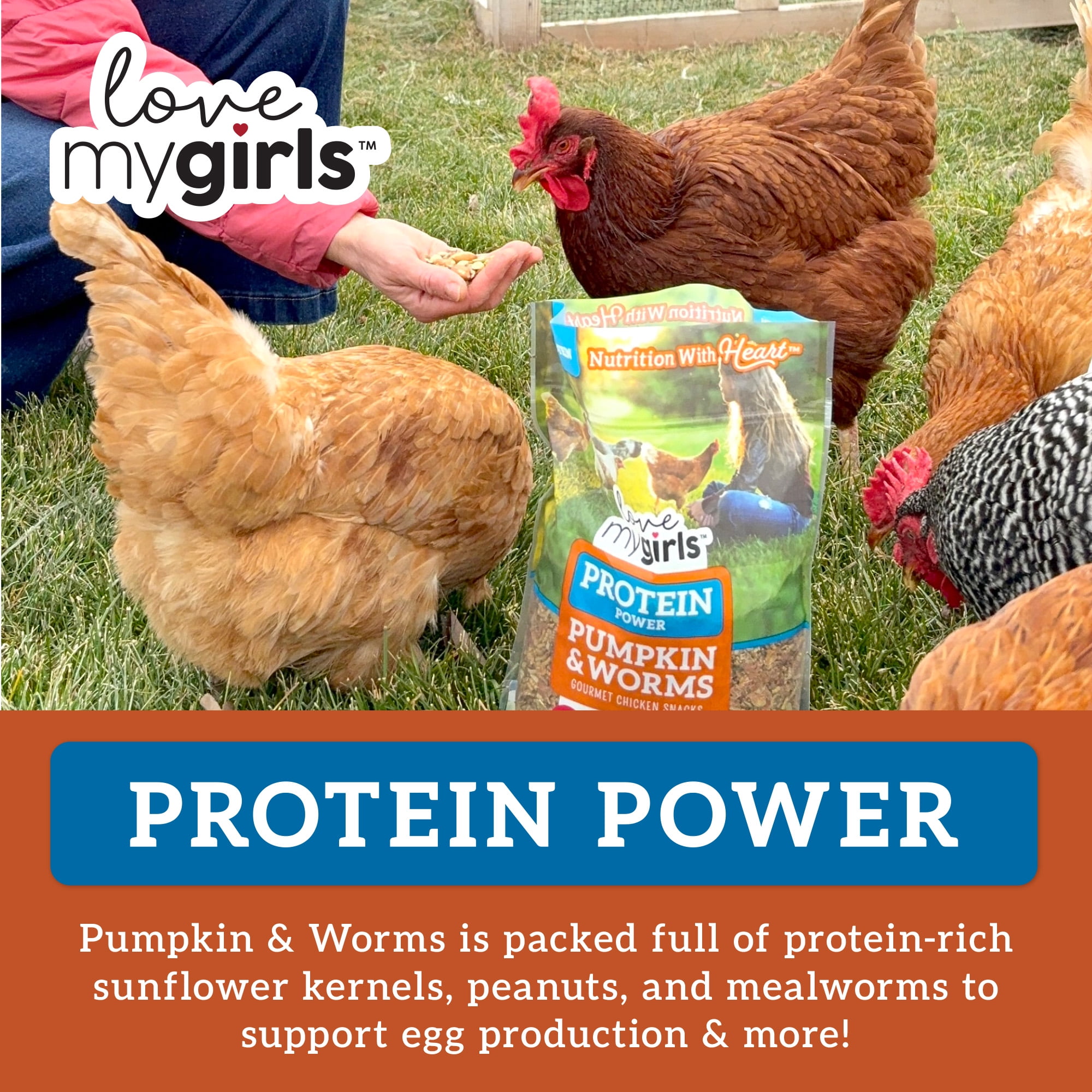 (2 pack) Love My Girls Pumpkin & Worms Gourmet Multi-Grain Chicken Treats, 2 lb. Bag, 1-Pack