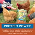 thumbnail image 5 of Love My Girls Pumpkin & Worms Gourmet Multi-Grain Chicken Treats, 2 lb. Bag, 1-Pack, 5 of 7