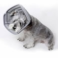 thumbnail image 5 of BESTSKY Dog Cone,Lightweight and Soft Dog Neck Collar,Post-Surgery Protection Dog Cone Collar,Black,M, 5 of 6